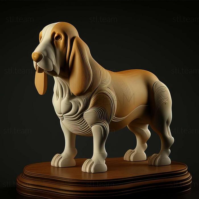 Animals Basset Hound dog